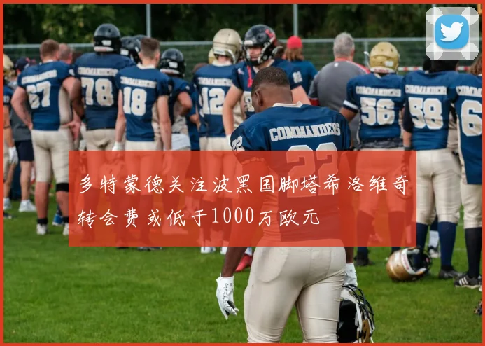 多特蒙德关注波黑国脚塔希洛维奇转会费或低于1000万欧元